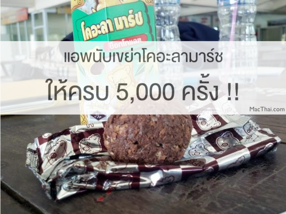 macthai-app-count-koala-march-shake-5000-time