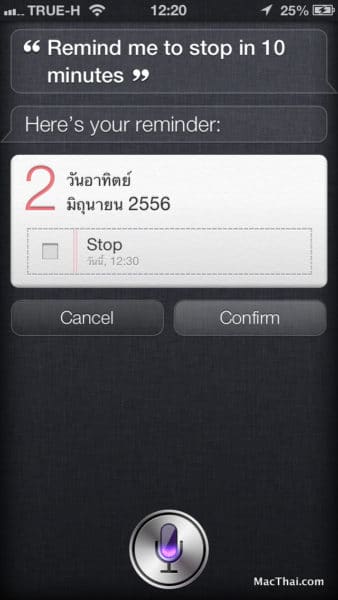 macthai-app-count-koala-march-shake-5000-time-siri