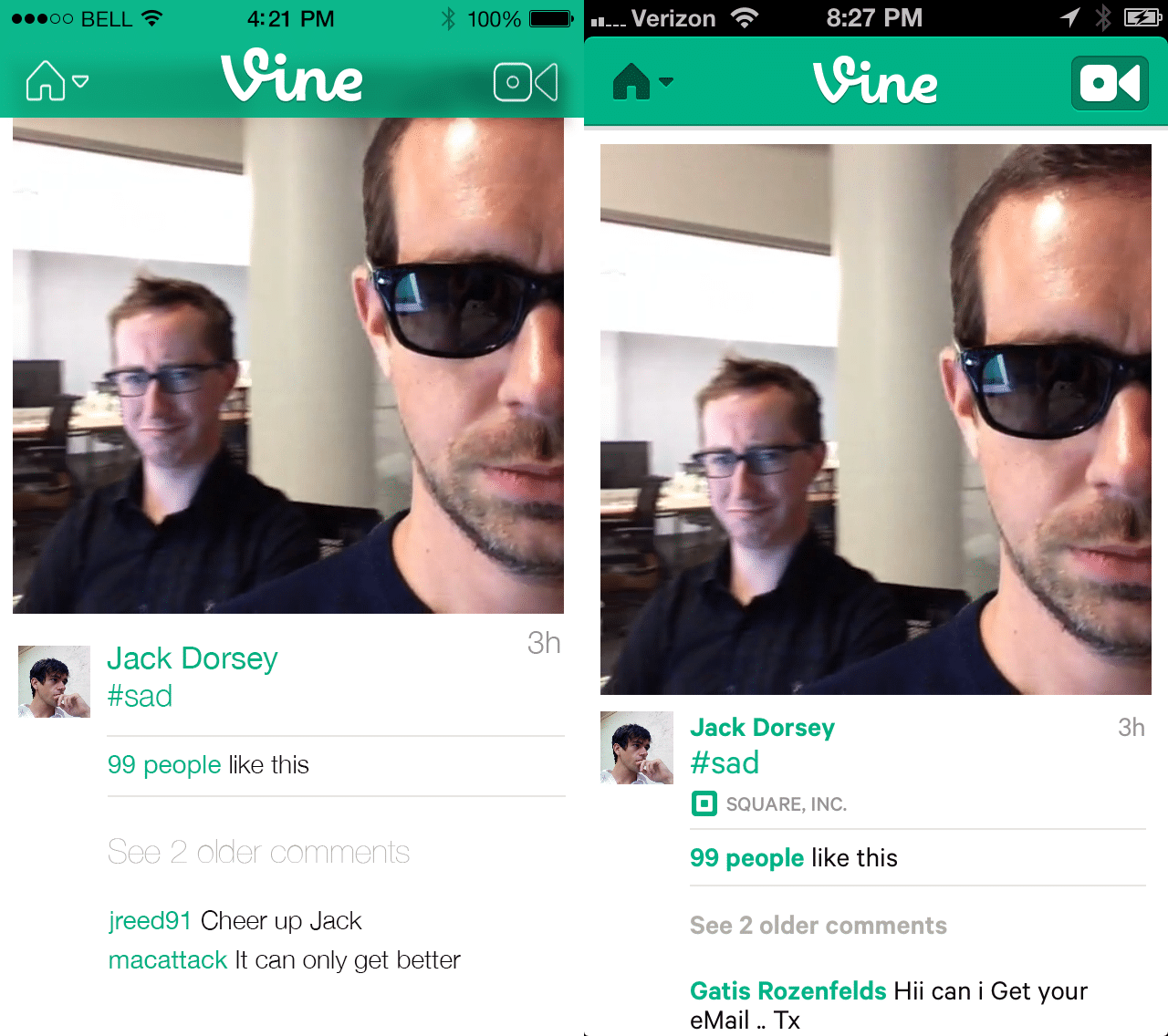 Vine