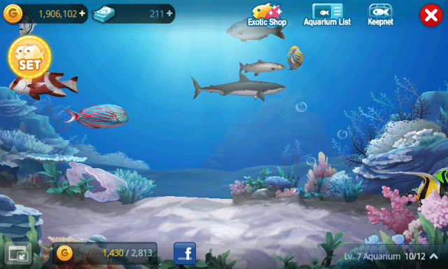 Fish-Island-review-macthai-016