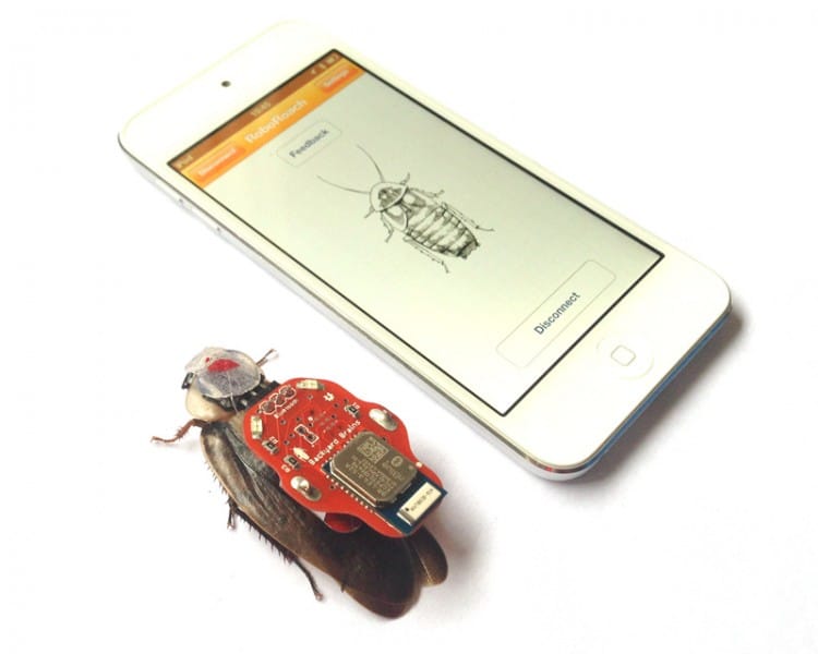 RoboRoach_iPod