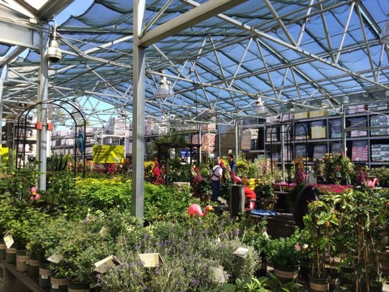 iphone5sgreenhouse