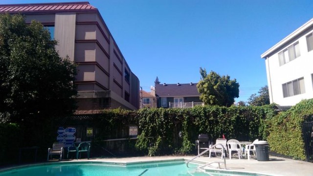 onem8pool