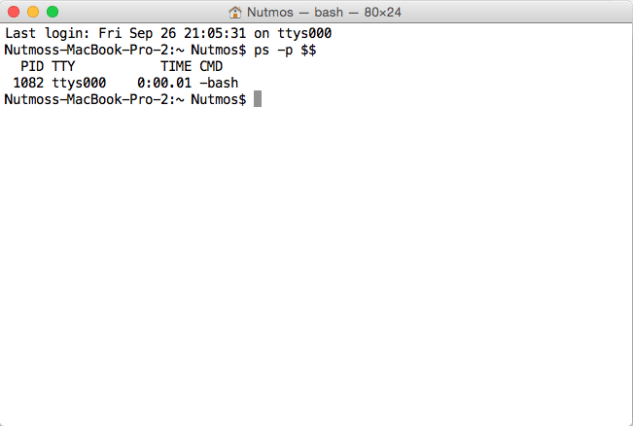 bash-shell-terminal
