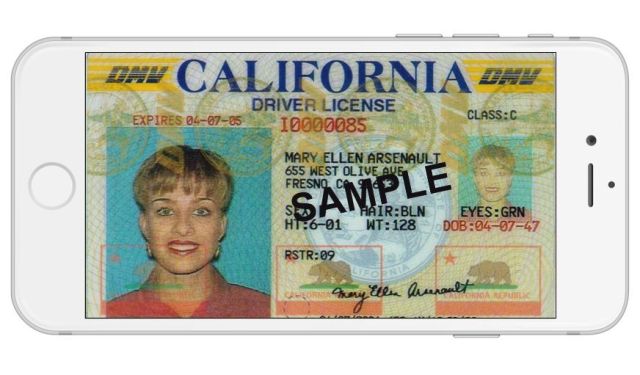 driver-ID-iPhone-640x375