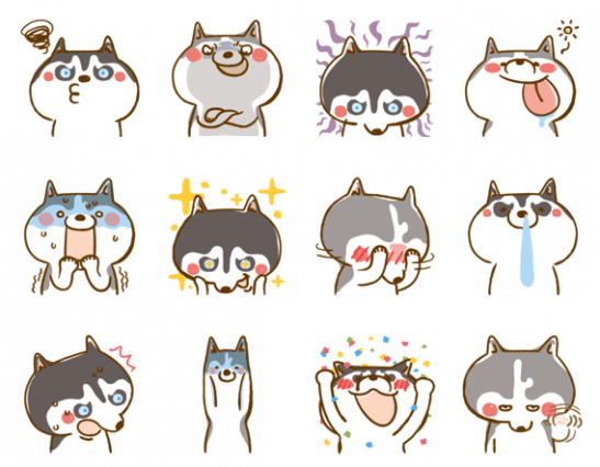 Husky_collection