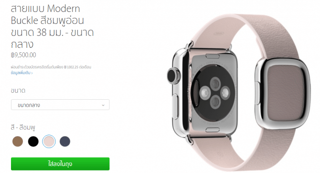 apple watch modern buckle