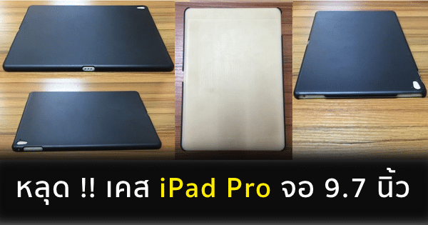 ipad pro 9.7 inch case