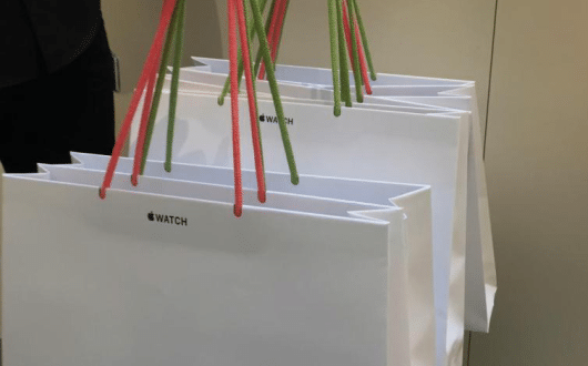 apple-watch-bag