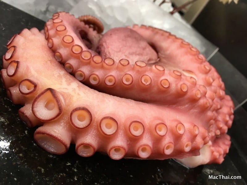 macthai-review-iphone-se-camera