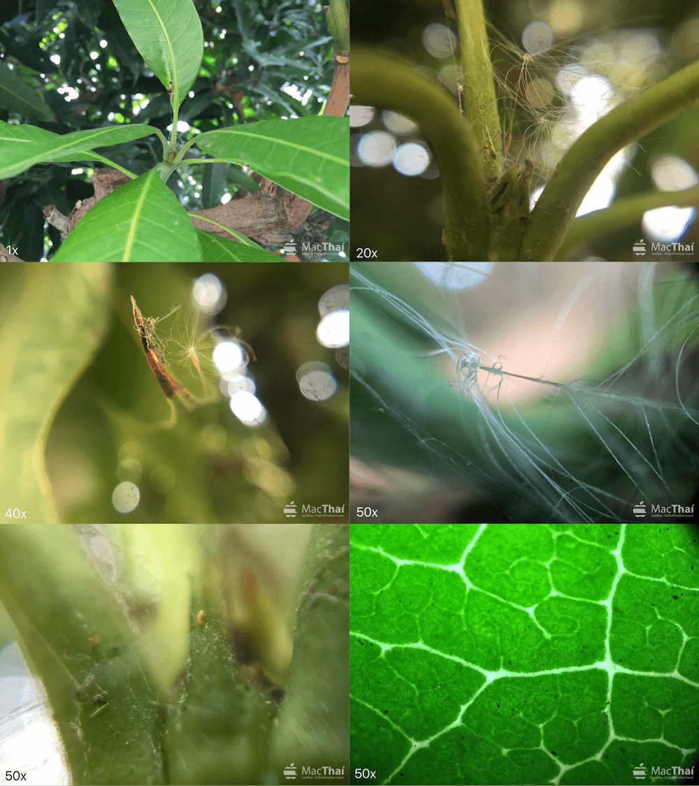 review chula smart lens-112