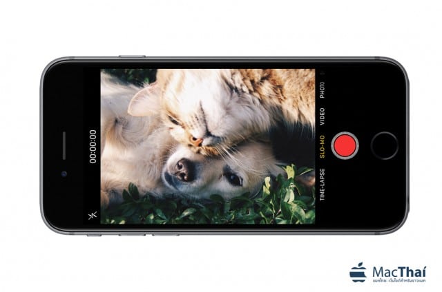 เทคนิควิธีถ่ายวีดีโอบน iPhone ยังไง ให้สวยงามดั่งมืออาชีพ เทคนิควิธีถ่ายวีดีโอบน Iphone ยังไง ให้สวยงามดั่งมืออาชีพ