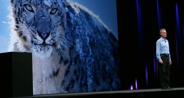leopard