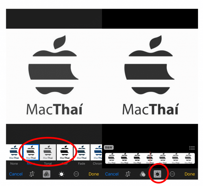 how-to-change-picture-to-black-white