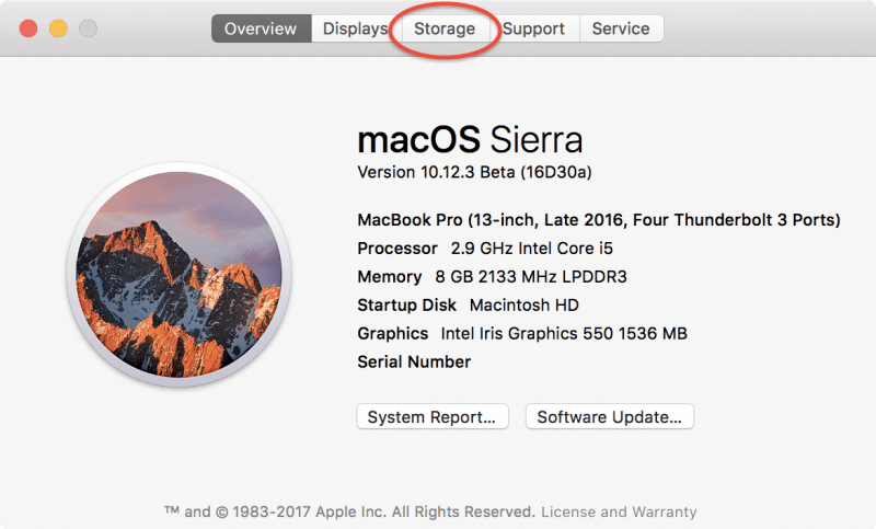 how much memory should one have for mac sierra? how much memory should one have for mac sierra?