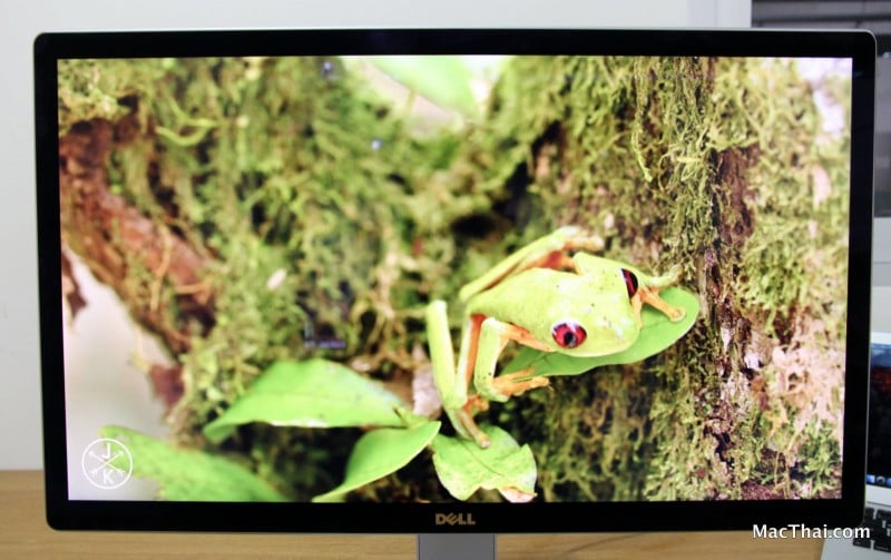 macthai-review-dell-monitor-024
