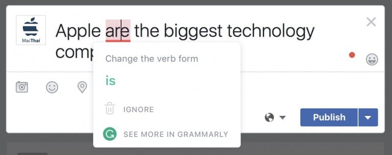 grammarly macos windows-8