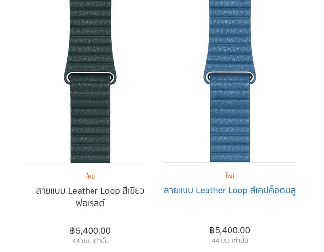 new-apple-watch-band-sep-2018-1