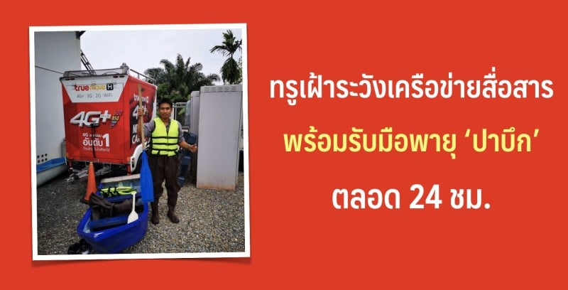true-south-thailand