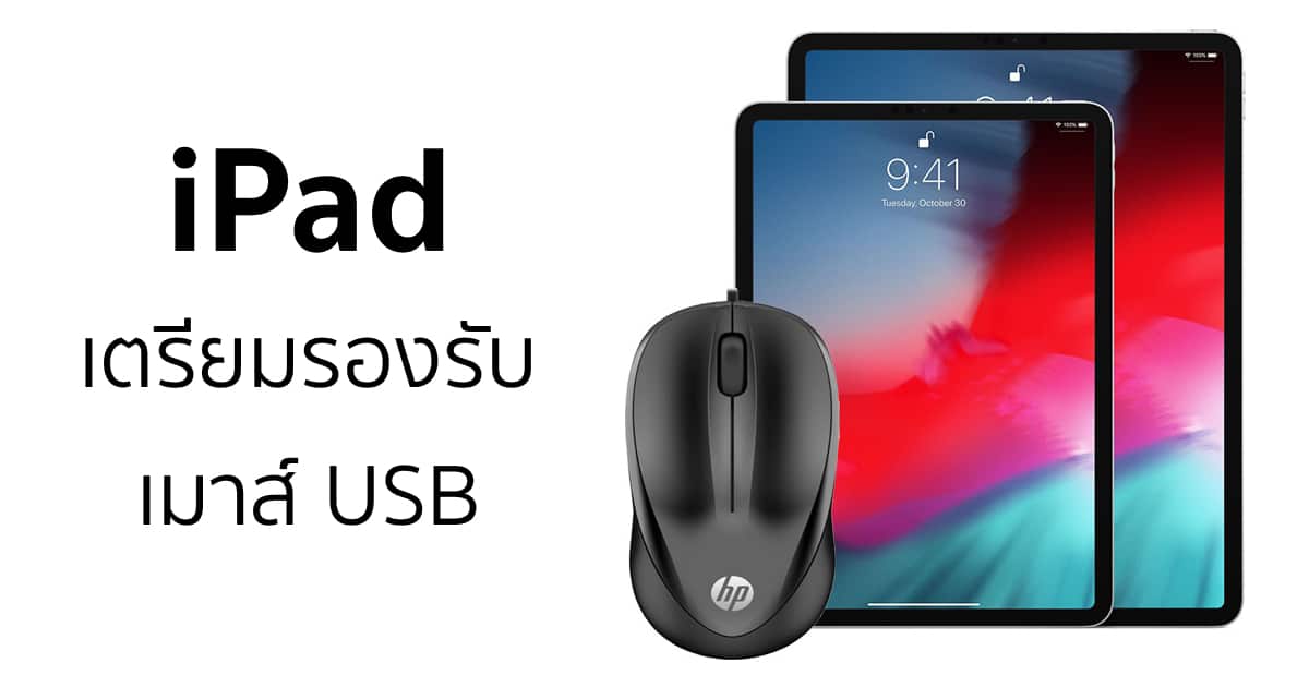 ipad-usb-mouse-support-accessibility-rumor