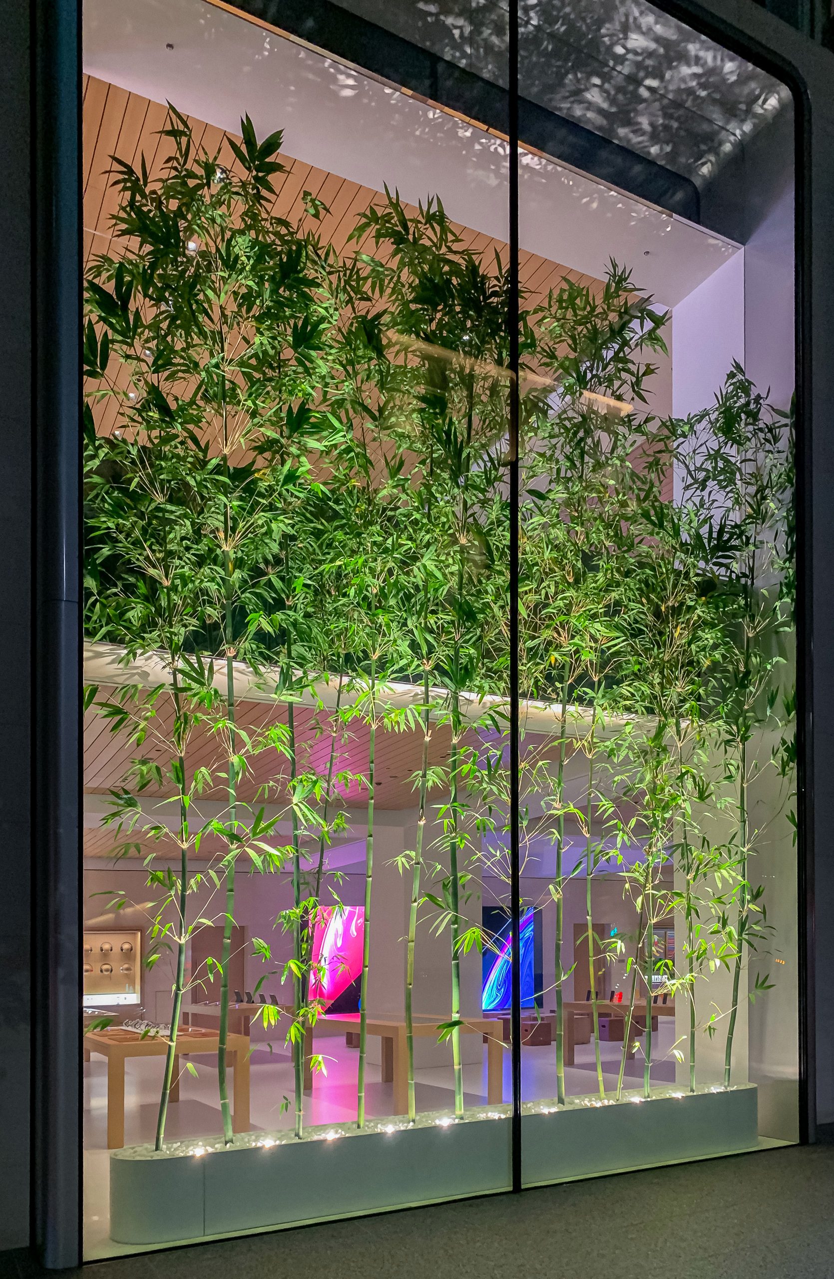apple_marunouchi_dawn_2