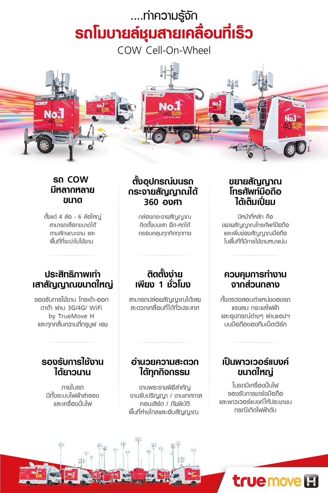 truemove-h-cow-car-3