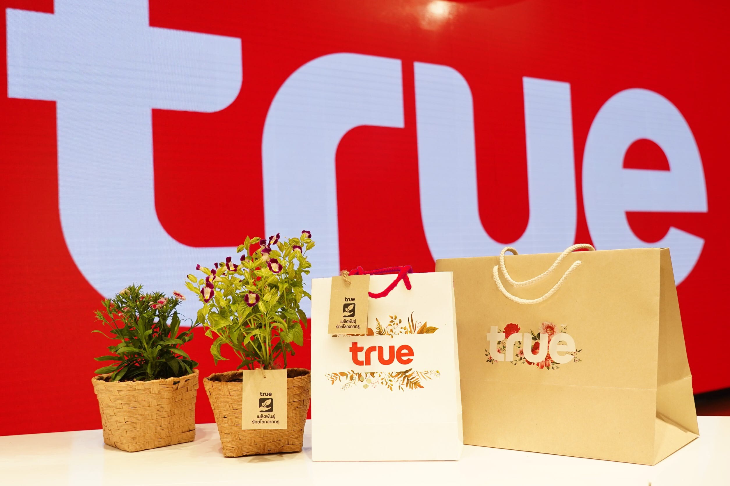 True ประกาศเลิกใช้ถุงพลาสติก เปลี่ยนมาใช้ถุงกระดาษ นำร่อง 10 สาขา ปรับ ...