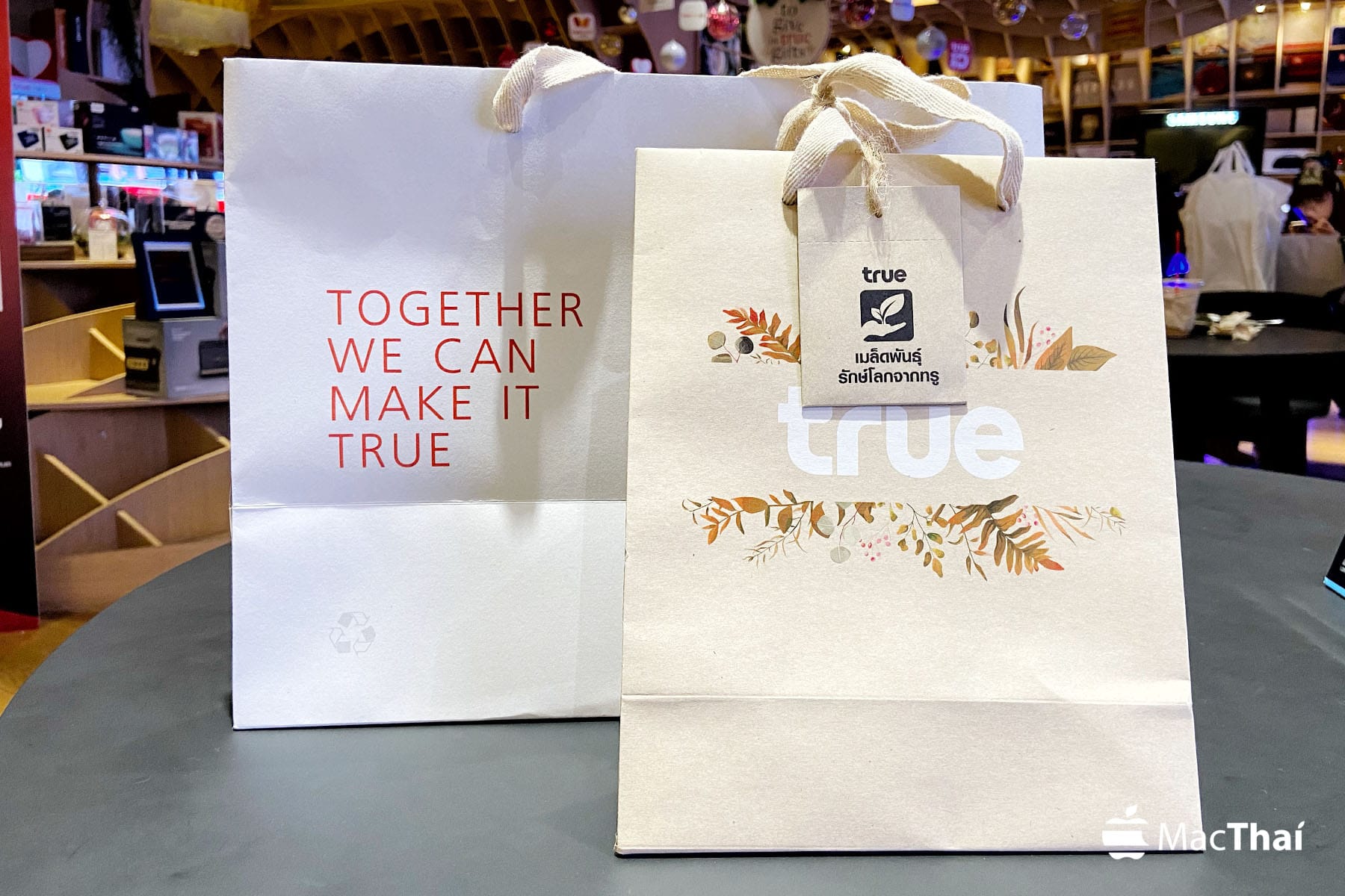 true-bag-3